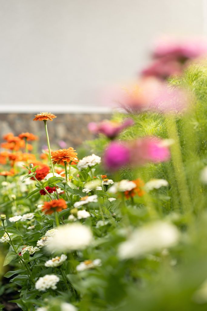 Landscaping 3