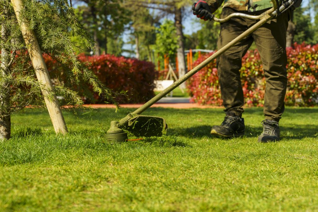 Property Maintenance 1